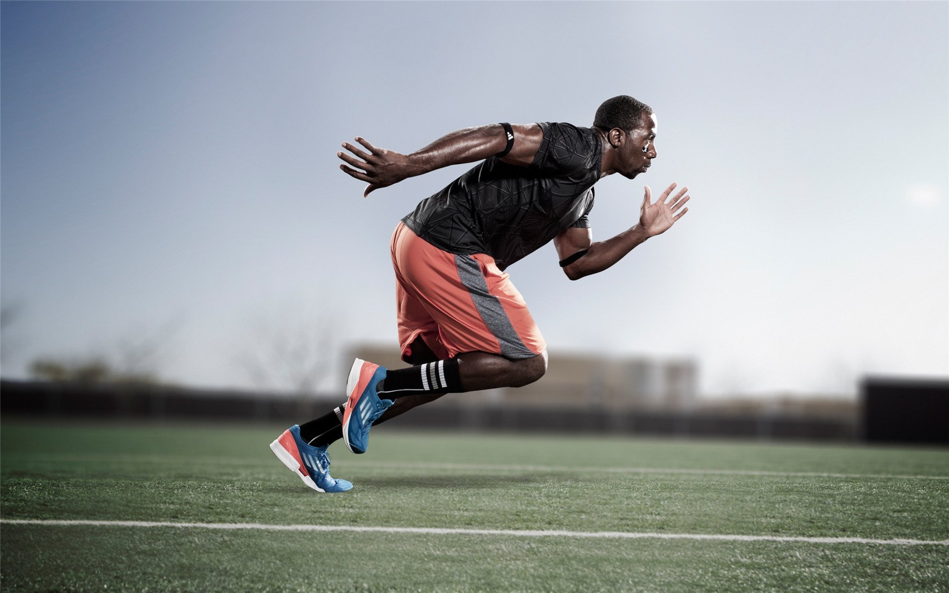 球场故事：一线工作人员眼中的NBA盛事，nba各种经典合集在一个球场