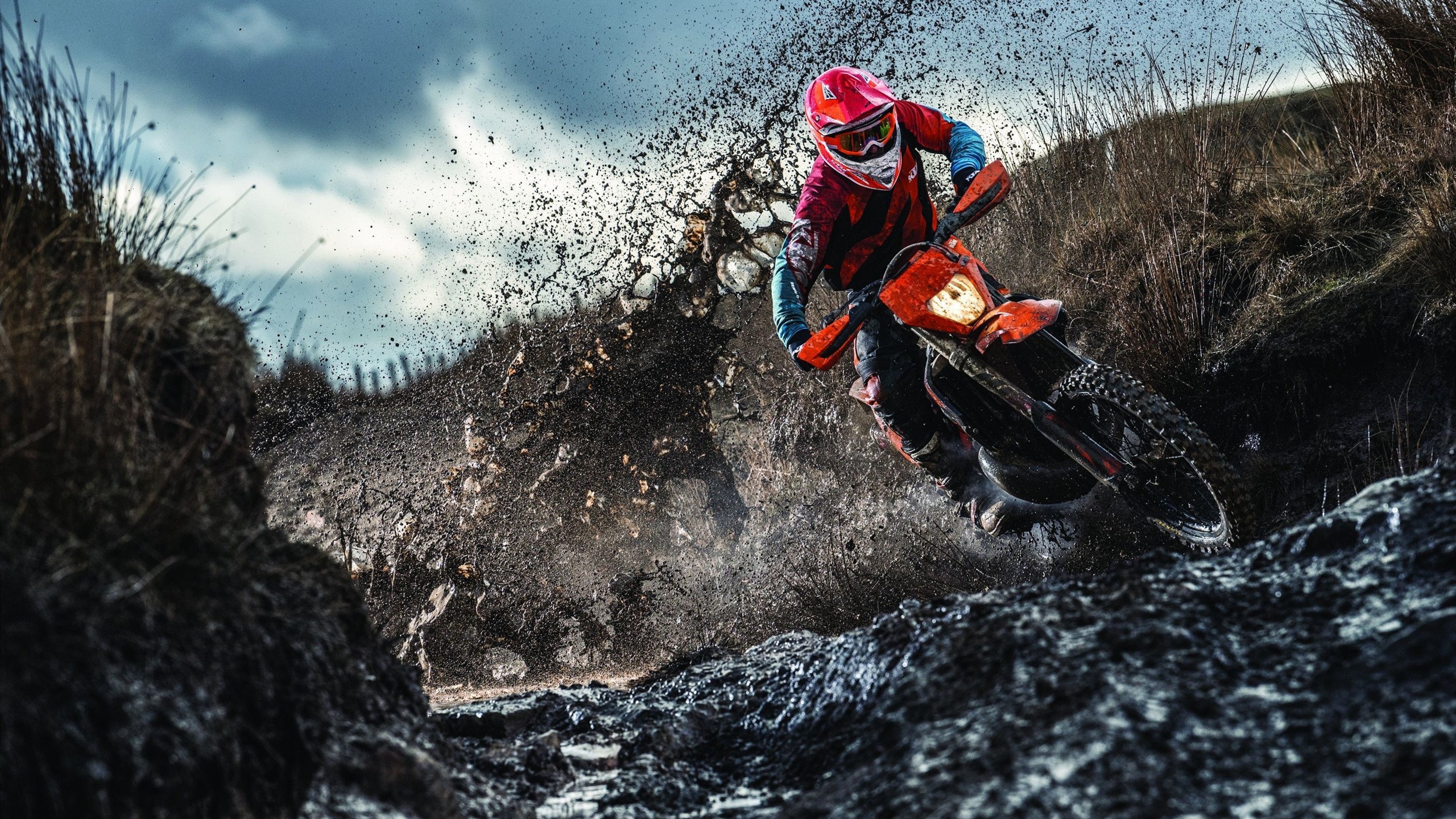 世界游泳公开赛，中国选手创下800米新亚洲纪录，女子800米游泳亚洲纪录